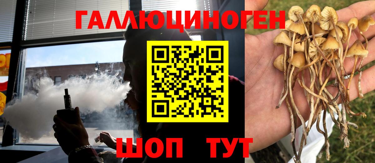 Галлюциногенные грибы ЛСД Сосновоборск